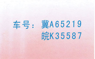 鐭沖搴勫埌涓存硥鍚嶇墖姝i潰